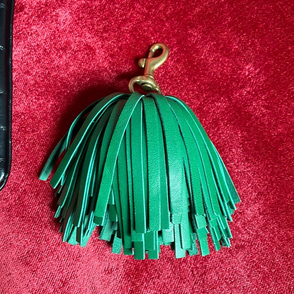 Fringe detail for clutch (clare v)